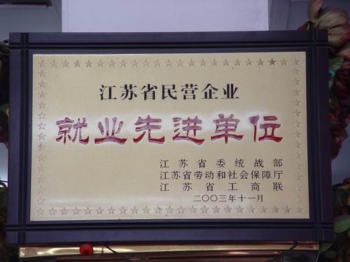   江蘇省民營企業(yè)就業(yè)先進單位 